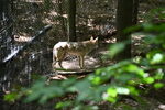 DSC_6905.JPG